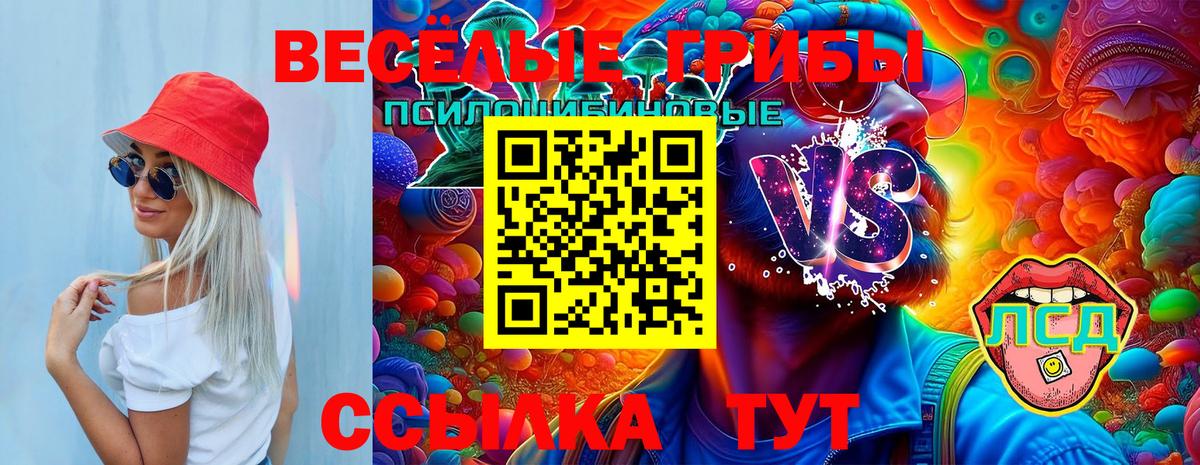 Псилоцибиновые грибы прущие грибы Карталы