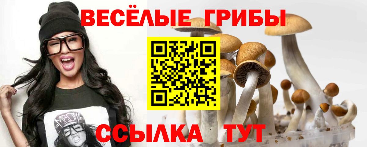 Карталы  Псилоцибиновые грибы GOLDEN TEACHER  Вход с VPN 
